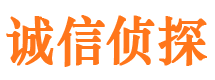 东洲侦探